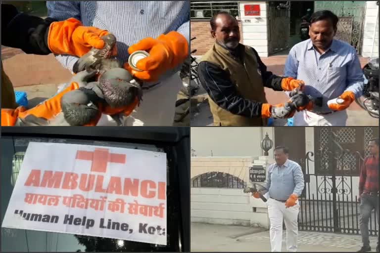 कोटा की खबर, Human help line