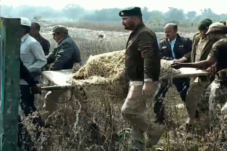 Leopard rescue in Jabalpur