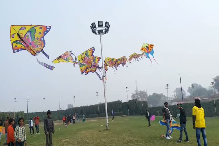 Kite festival organized on the occasion of Makar Sankranti