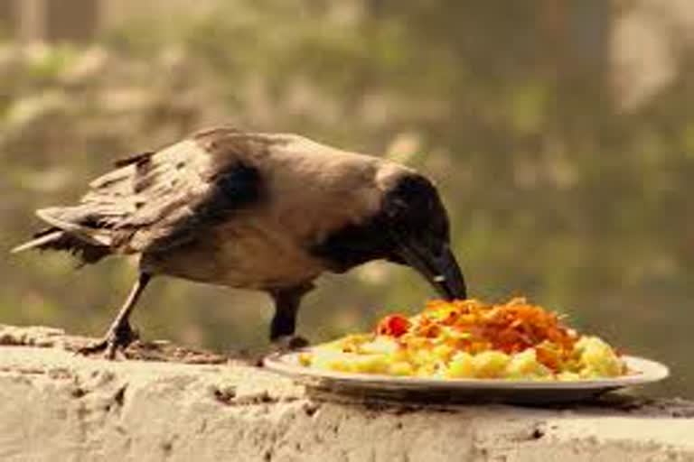 घुघुतिया त्यौहार