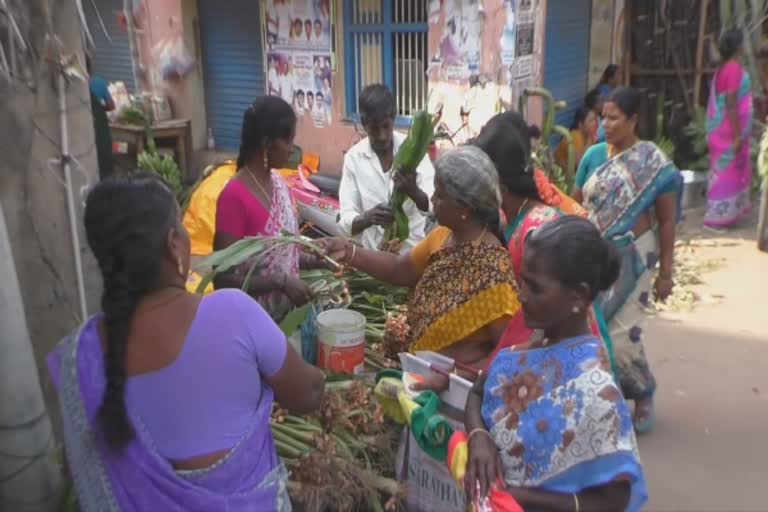 விழுப்புரம் மாவட்டச் செய்திகள்  நாகை மாவட்டச் செய்திகள்  பொங்கல் பண்டிகை கொண்டாட்டம்  pongal celebration things sales