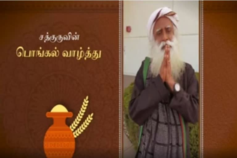 Jaggi Vasudev Pongal wishes