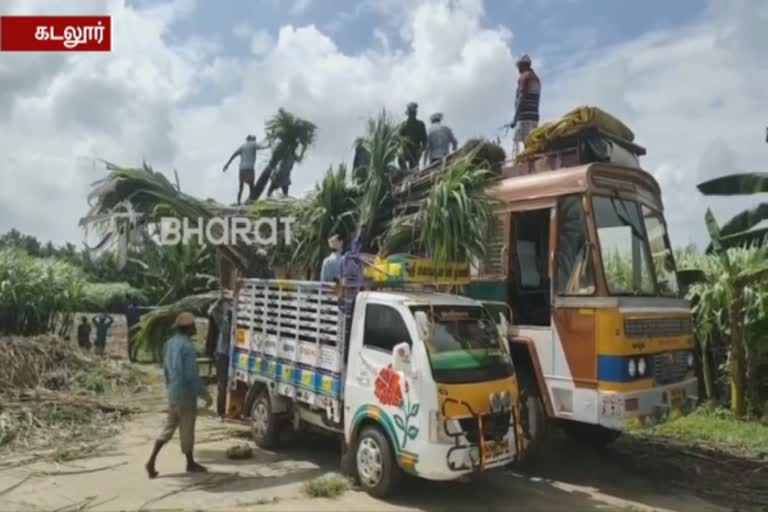 Cuddalore sugarcane workers happy  sugarcane workers happy with tamilnadu govt  விவசாயிகளிடமிருந்து கரும்பு கொள்முதல்