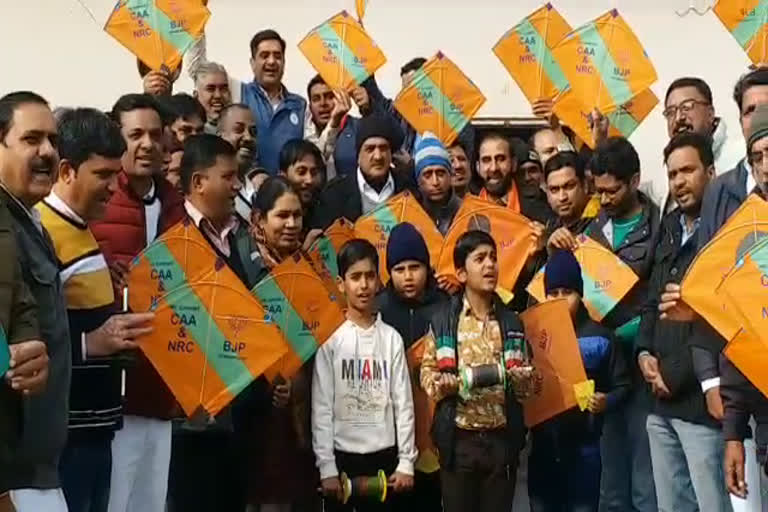 kite flying in Hanumangarh, हनुमानगढ़ न्यूज