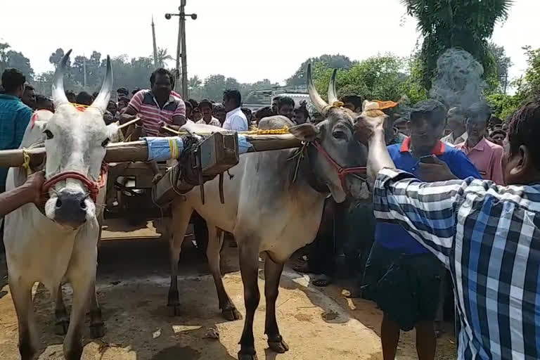 state level bullock cart games