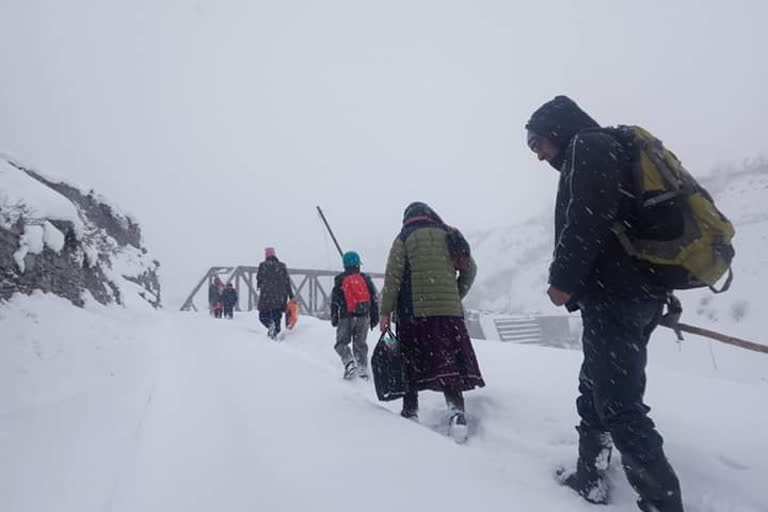 avalaunche alert in Kullu after heavy snowfall