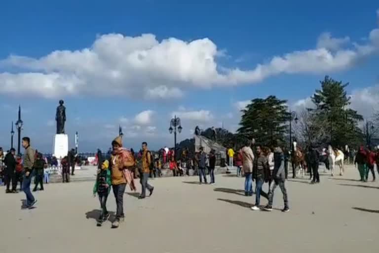 shimla weather news