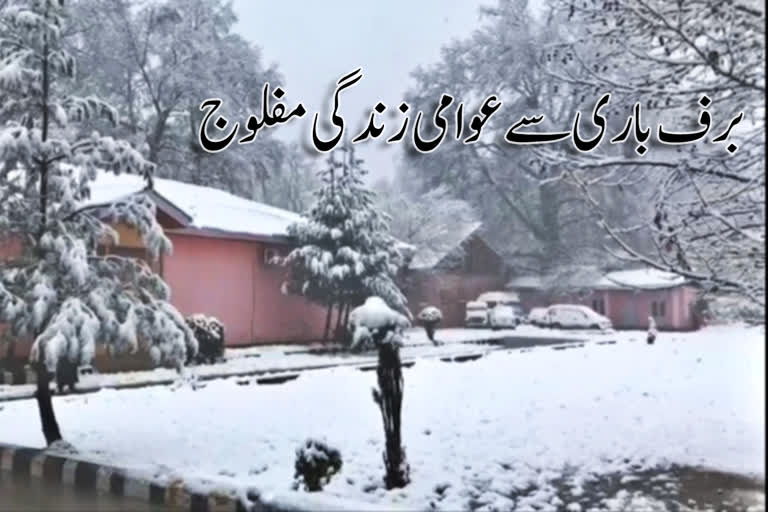 kashmir caught in heavy snowfall