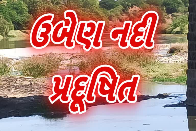 jetpur industries pollute uben river junagadh