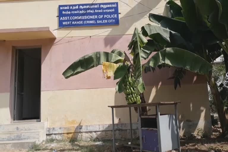 table on the banana tree