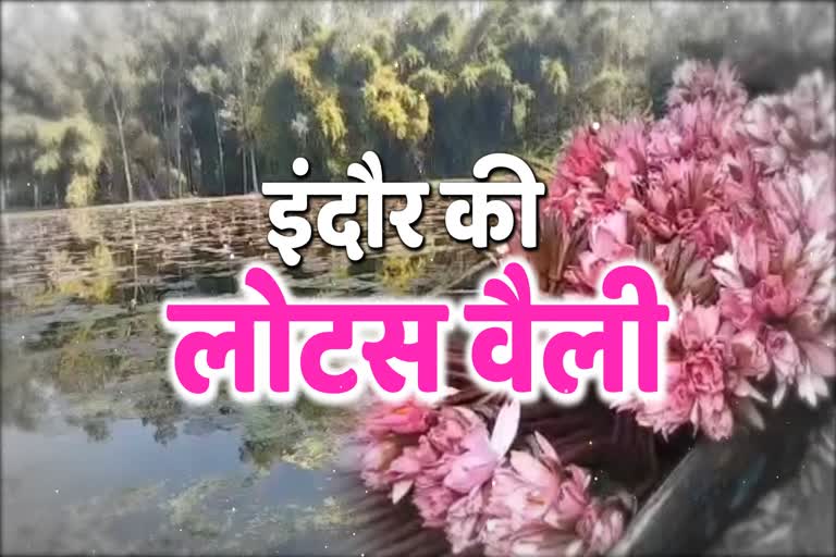 इंदौर की लोटस वैली