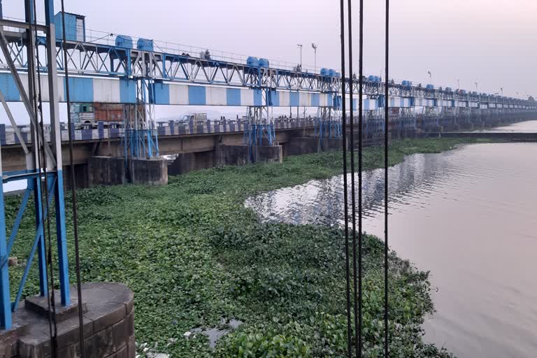 durgapur barrage