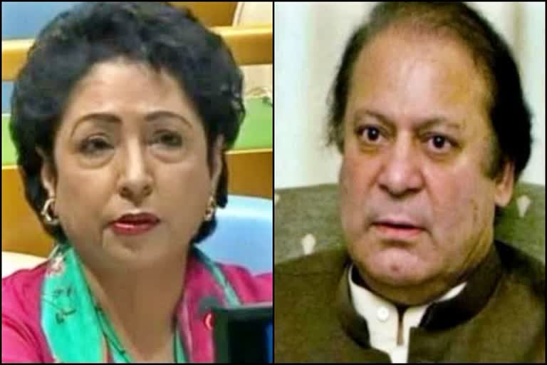 maleeha lodhi meets pakistans former prime minister nawaz sharif