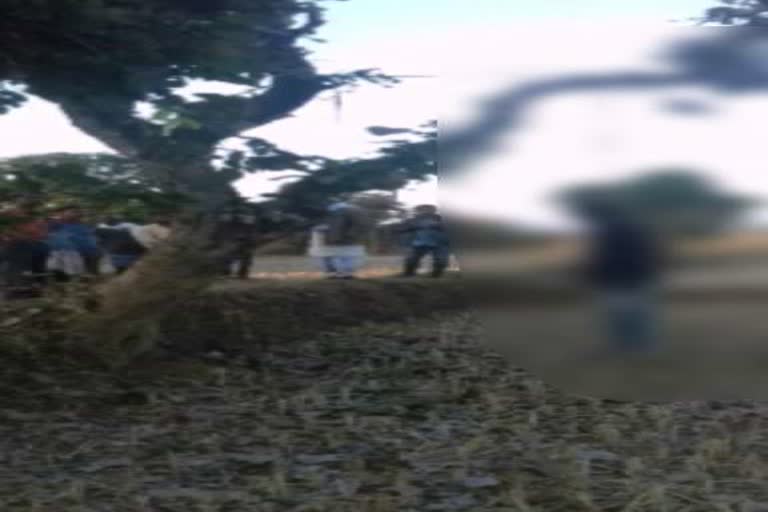 dead body of a youth found hanging on the tree