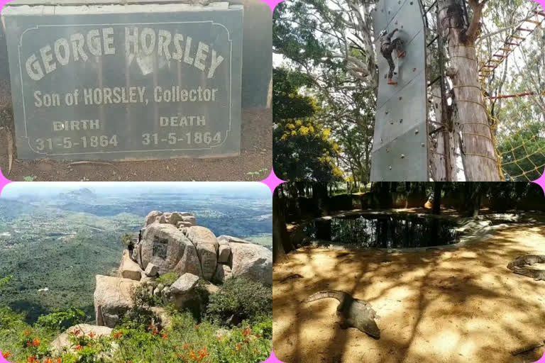 adventure festival at horsely hills in chittoor district