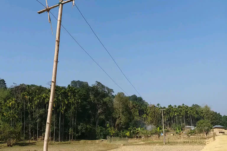 বিদ্যুৎ পৰিবাহী খুঁটা