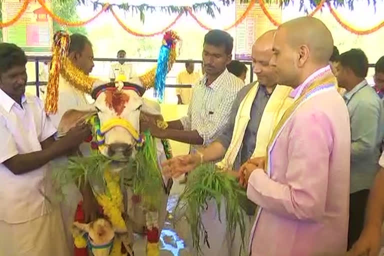 ttd-gopooja-in-tirumala