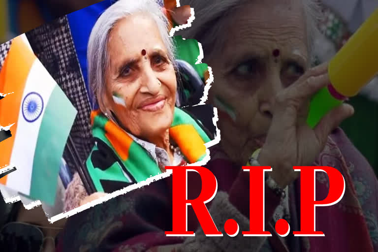 Team India's superfan News  Charulata passes away News  Charulata Patel News  India's superfan passes away  Team India World Cup fan  ചാരുലത പട്ടേല്‍ വാർത്ത  ടീം ഇന്ത്യയുടെ സൂപ്പർ ഫാന്‍ വാർത്ത  ചാരുലത അന്തരിച്ചു വാർത്ത