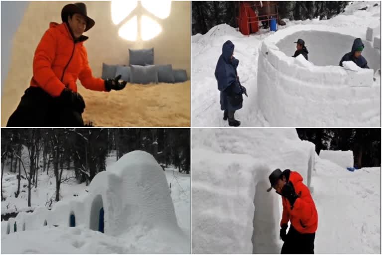 Igloo house in Manali for tourist