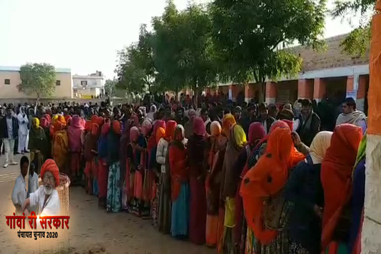 voting in nagaur,panchayati raj chunav in nagaur,नागौर की खबर,नागौर पंचायत समिति की गोगेलाव,वार्डपंच चुनाव नागौर,सरपंच चुनाव नागौर