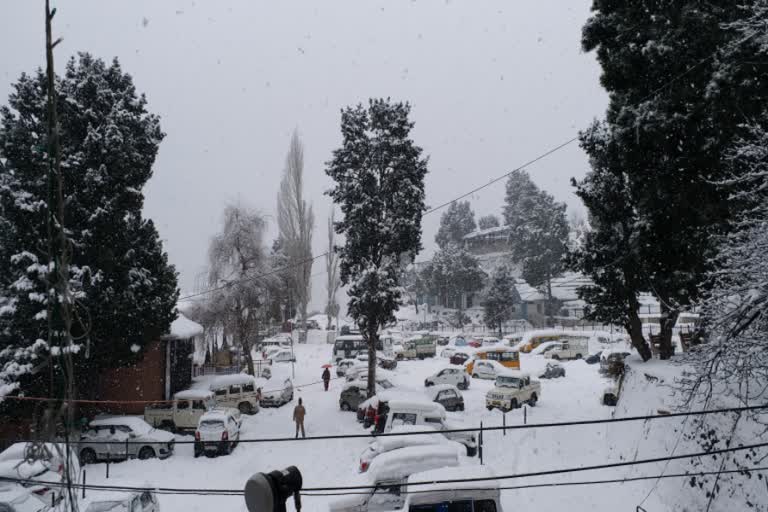 snowfall in kinnaur