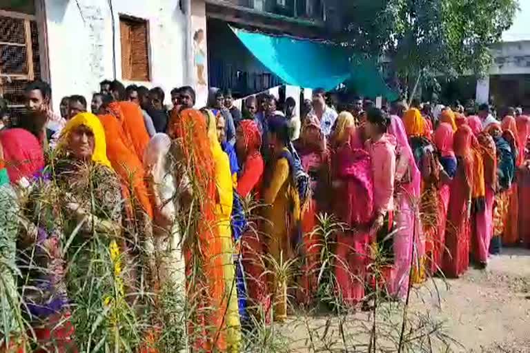 ग्रामीण सरकार का मेला, pali panchayat election