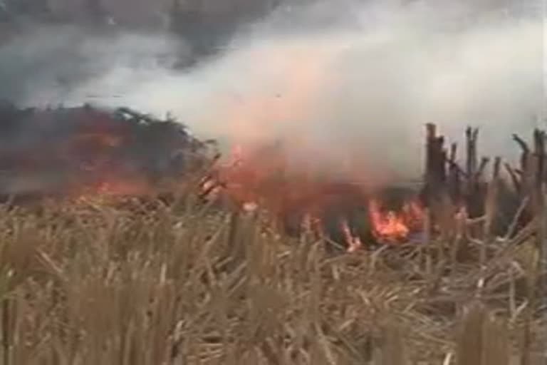 SDM takes action on burning stubble in balod