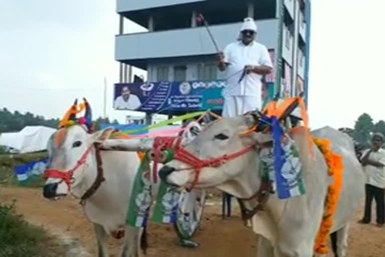 p. gannavaram mla on bullockcart in east godavari dst