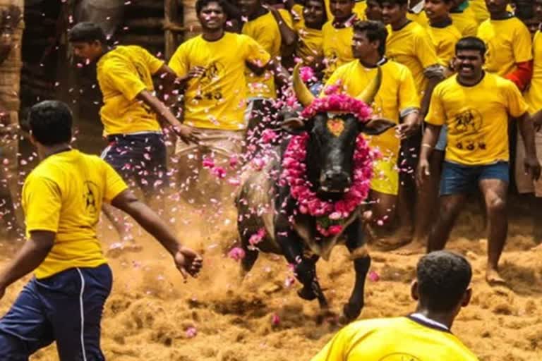 துணை முதலமைச்சர் கார் பரிசு