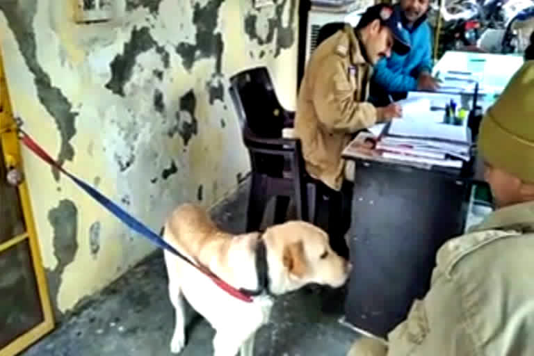 A dog spends whole night in a jail in Uttarakhand