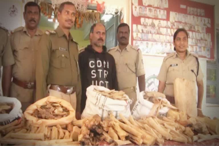 sandalwood seized