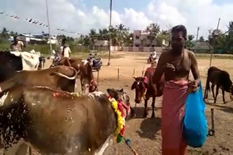 poojai