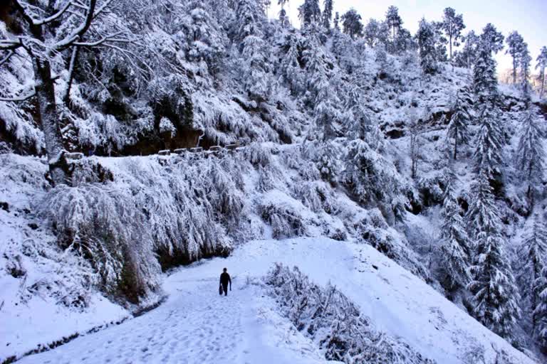 senior-scientist-on-heavy-snowfall-and-bad-weather