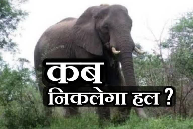 Elephant problem becomes a challenge in Chhattisgarh