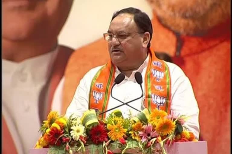 BJP set to get new president, Nadda likely to succeed Shah