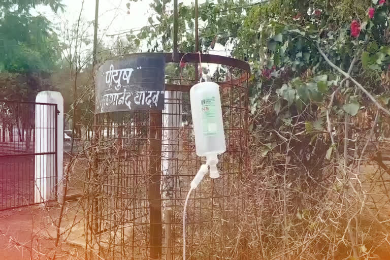 police officers watering trees by drip system