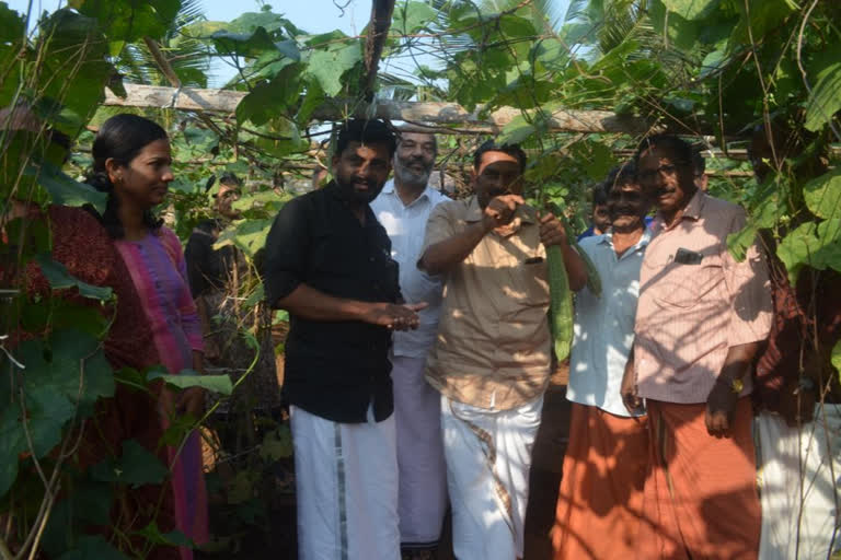 Vegetable crops news  വിളവെടുപ്പ് വാർത്ത  harvest news  പച്ചക്കറി കൃഷി വാർത്ത