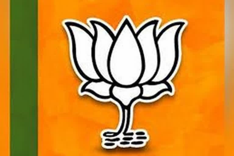 BJP to announce its national president today  BJP national president news  അമിത് ഷാ  ബിജെപി വാര്‍ത്തകള്‍  ബിജെപി പുതിയ പ്രസിഡന്‍റ് വാര്‍ത്ത