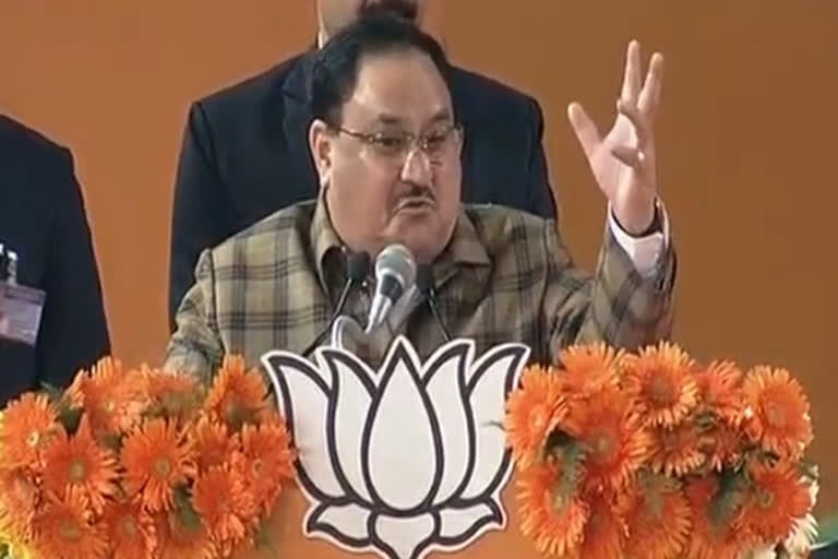 jp nadda file nomination to bjp president