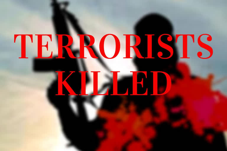 J-K: 3 Hizbul Mujahideen terrorists killed in Shopian