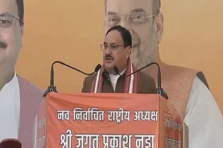 jp nadda