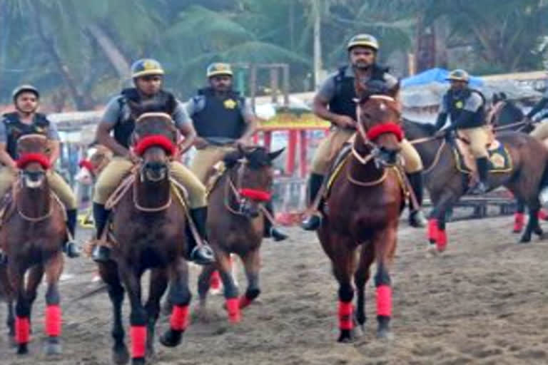 horse mounted police unit