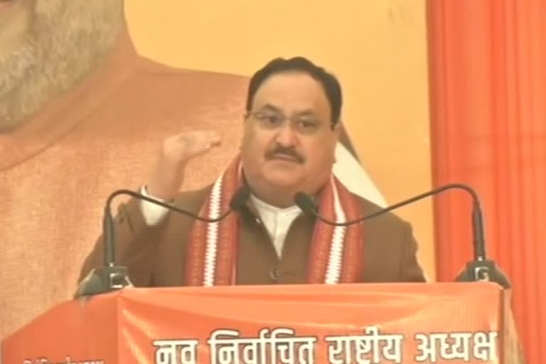 jp nadda