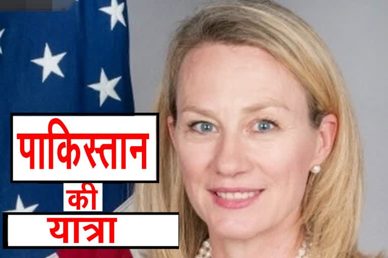 us-envoy-alice-wells-to-arrive-in-pakistan-on-4-day-visit