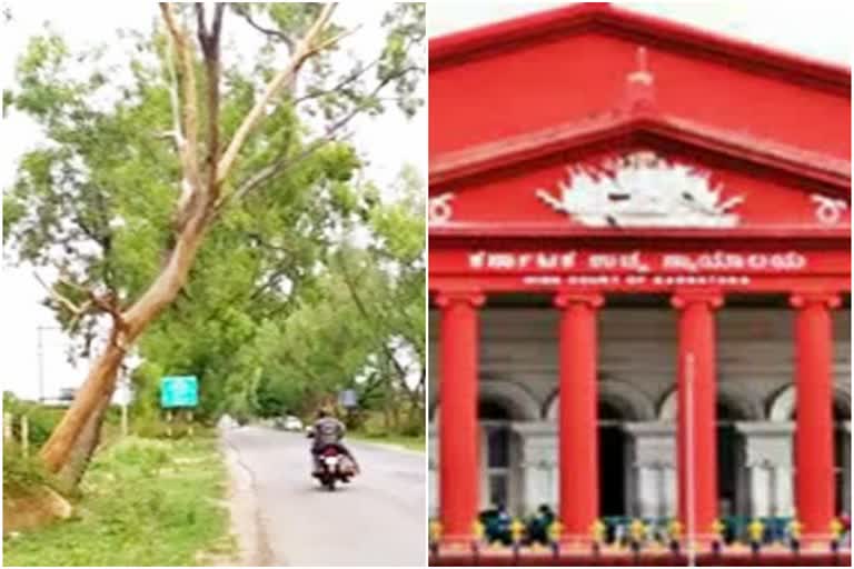 ಬಿಬಿಎಂಪಿಗೆ ಹೈಕೋರ್ಟ್​ ತೀವ್ರ ತರಾಟೆ ,  BBMP Officers do not Tree census not yet