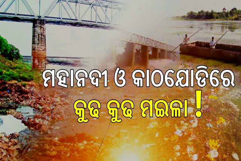 two-main-river-of-odisha-mahanadi-and-kathajodi-water-polluted-why-the-govt-silence