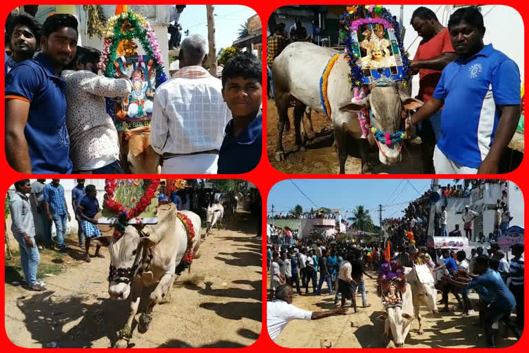 to continues cattle fair at vedhurukuppam