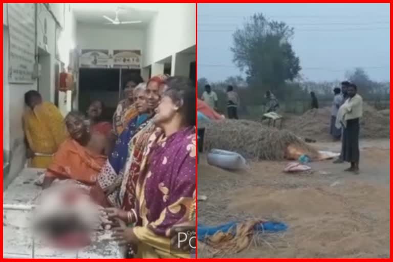 elephenat-attack-in-harvest-field-farmer-death-in-digapahandi-of-ganjam-district