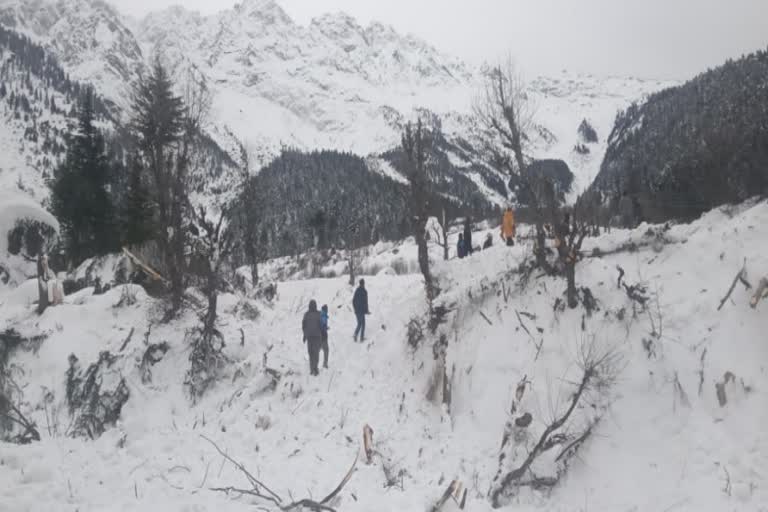 Loss of 60 lakhs due to glacier in Ribba, Kinnaur