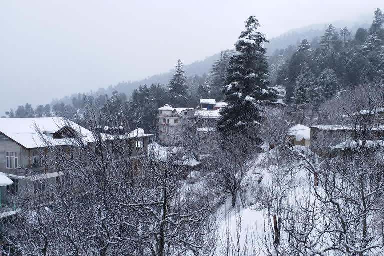 Snowfall starts in kinnaur